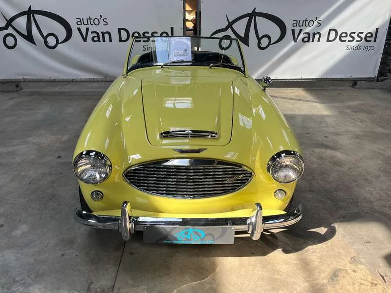 Austin-Healey 3000 MK1 BT7 Image 7