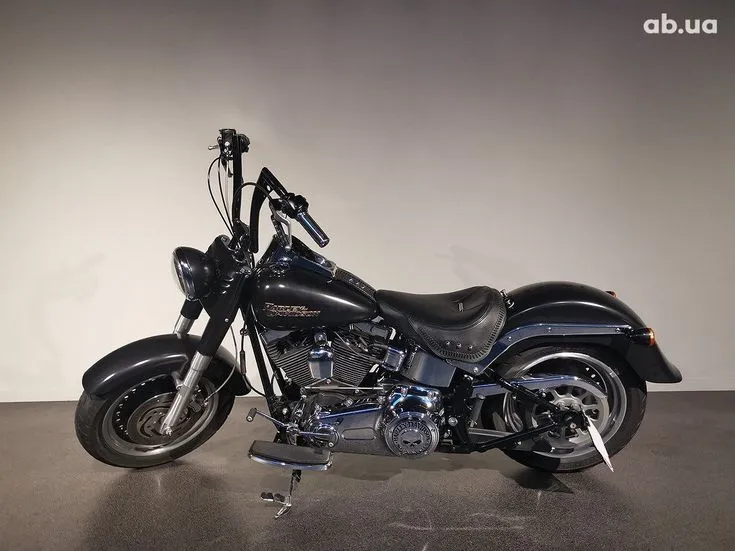 Harley-Davidson FLSTF  Modal Image 1
