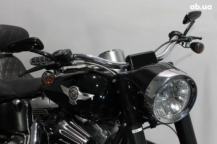 Harley-Davidson FLSTF  Image 2